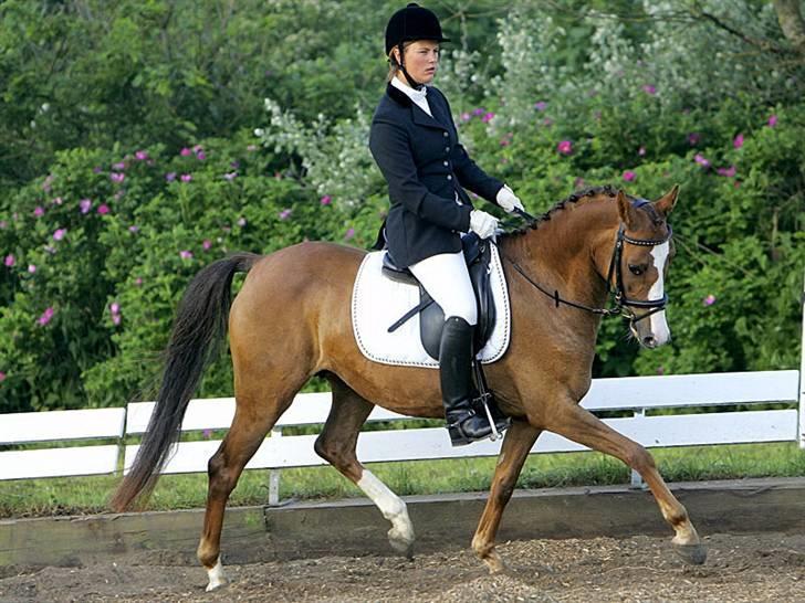 DSP Boccia RSDH - Boccia og Anita til stævne 2006 billede 9