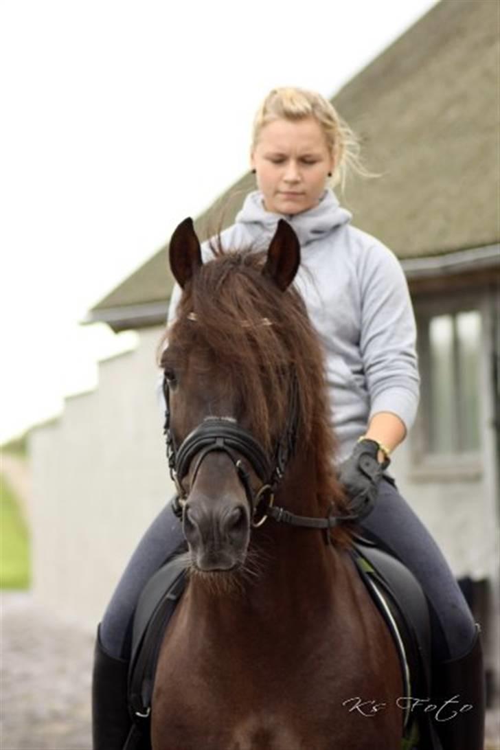 DSP Lacom Therese * solgt *  billede 15