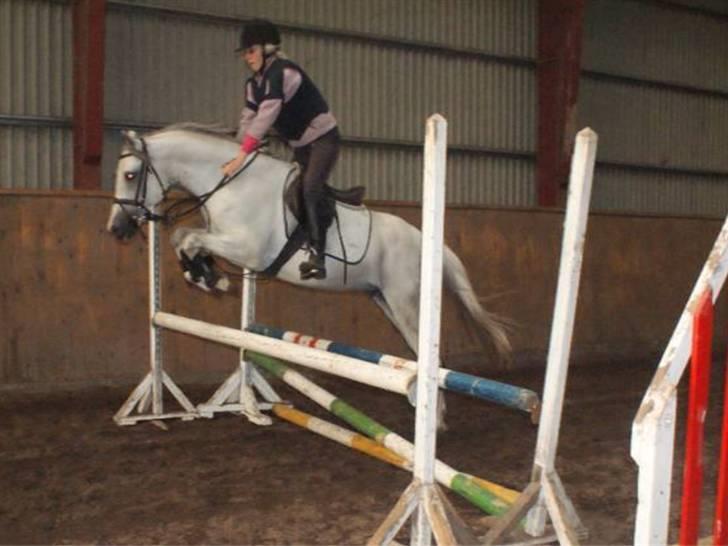 Anden særlig race Dj Gambler(tilbage sendt  billede 2