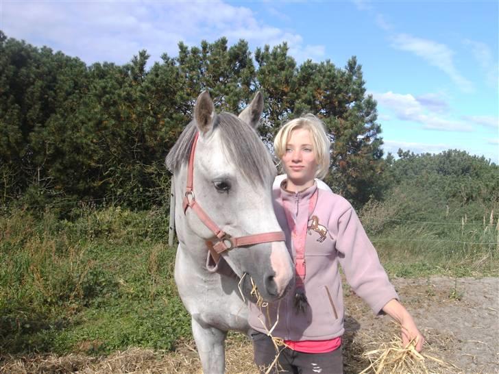 Anden særlig race Dj Gambler(tilbage sendt  - mig og min ejer ;D billede 4