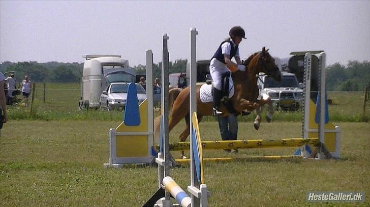 Anden særlig race Mataya - mig og mataya til stævne i rho vi startede en u-miniput  d.3 juli 2010 billede 9