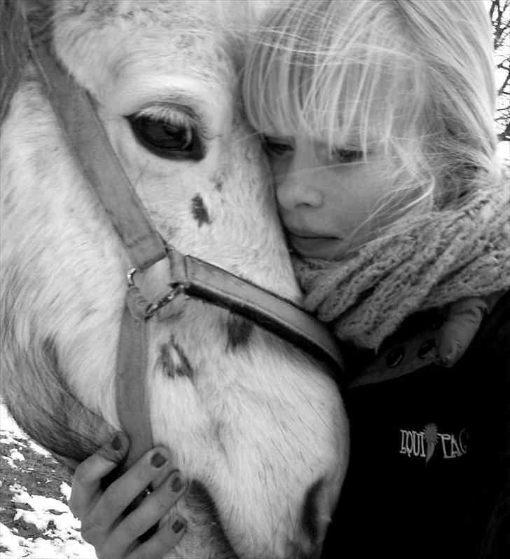 Anden særlig race Hygums Kiki - en pony man kan snakke med... billede 8