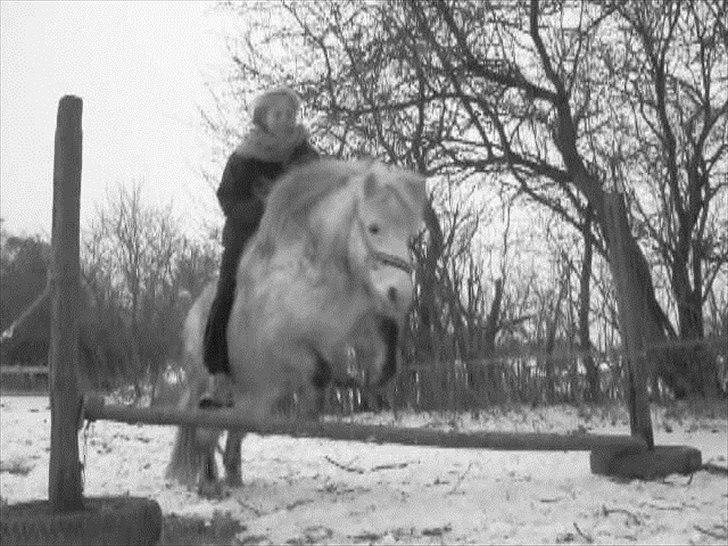 Anden særlig race Hygums Kiki - haha bare for sjov :) billede 12