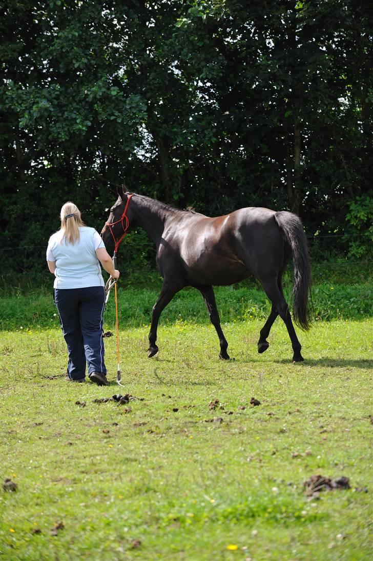 Anden særlig race Athena RIP <3 elsket og savnet billede 6