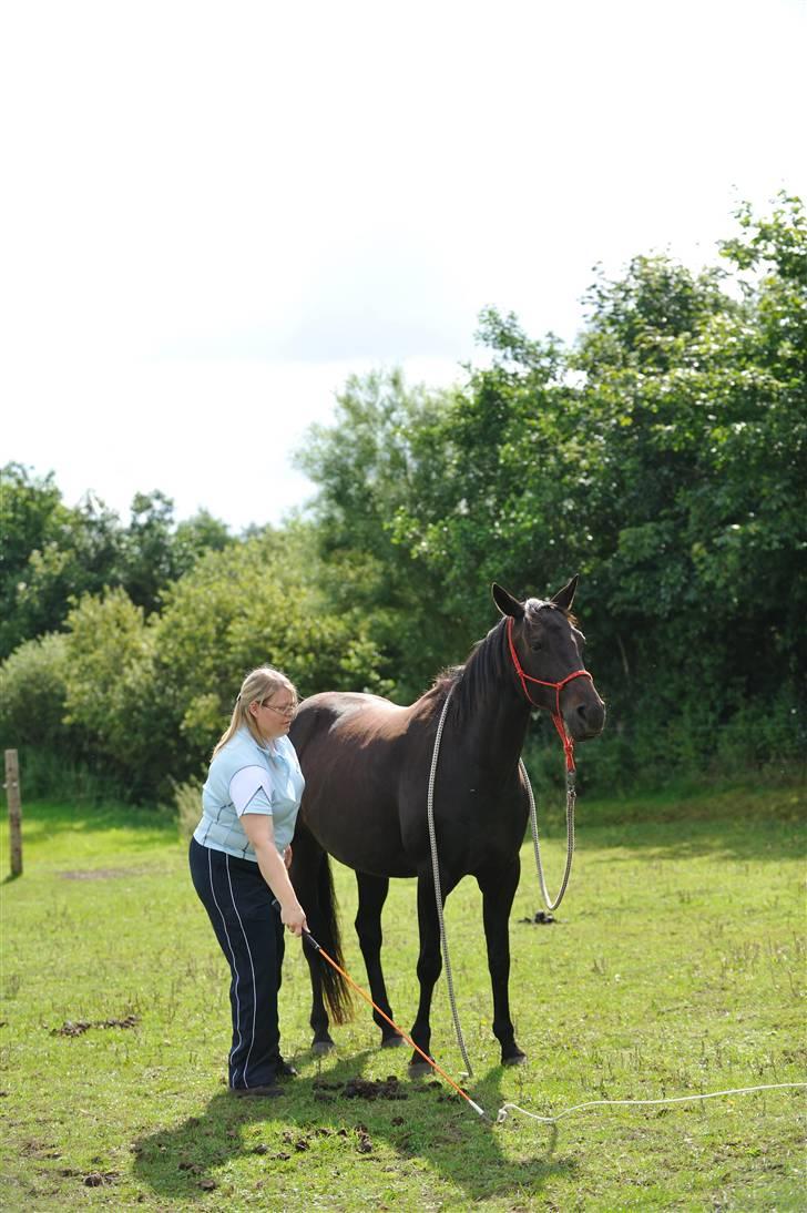 Anden særlig race Athena RIP <3 elsket og savnet billede 8