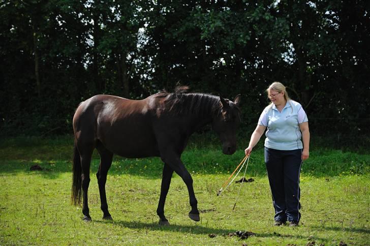 Anden særlig race Athena RIP <3 elsket og savnet billede 9
