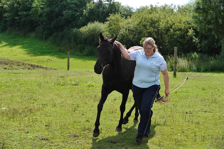 Anden særlig race Athena RIP <3 elsket og savnet billede 10