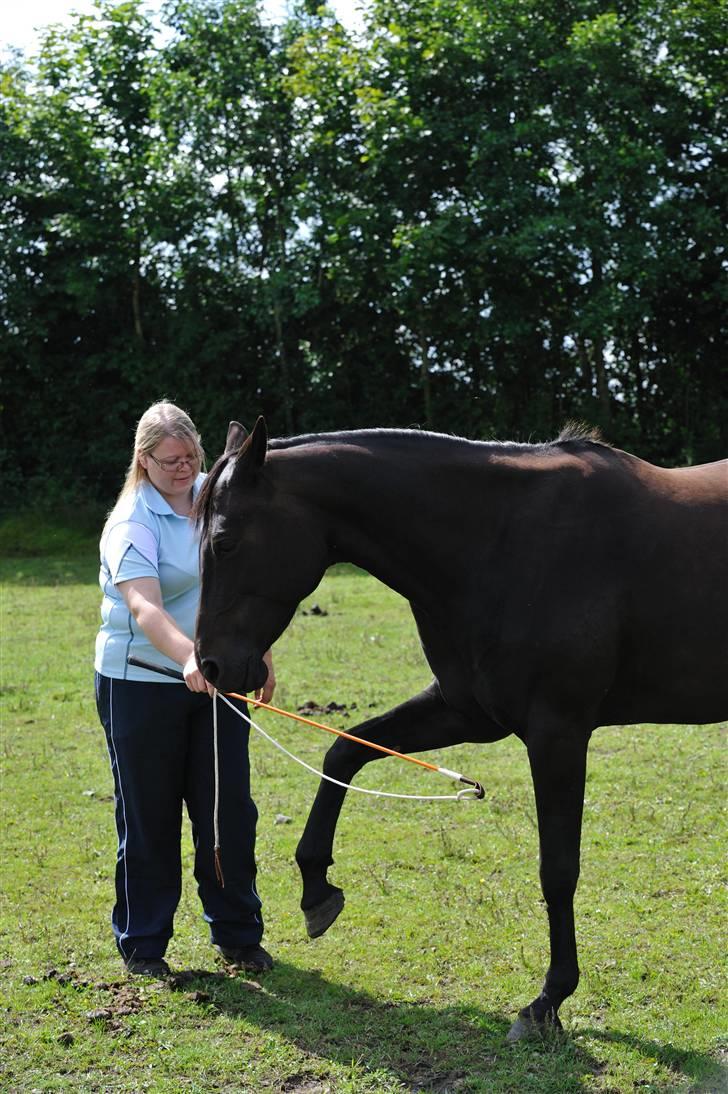Anden særlig race Athena RIP <3 elsket og savnet billede 13