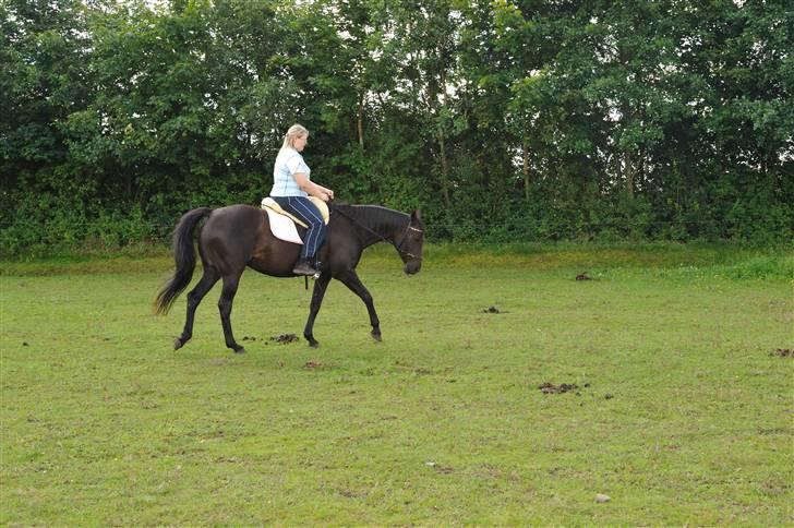 Anden særlig race Athena RIP <3 elsket og savnet billede 16