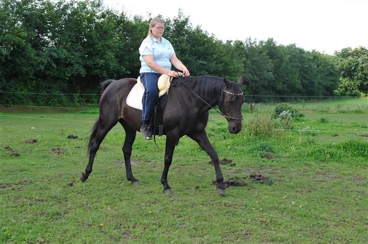 Anden særlig race Athena RIP <3 elsket og savnet billede 17