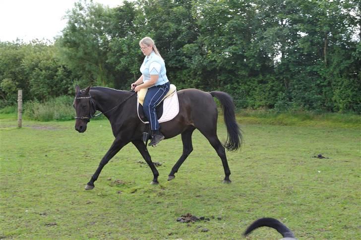 Anden særlig race Athena RIP <3 elsket og savnet billede 18