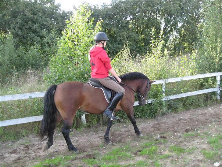 Anden særlig race Fiona - red - Fra første ridetur på hende <3 Foto; Britt :) billede 2