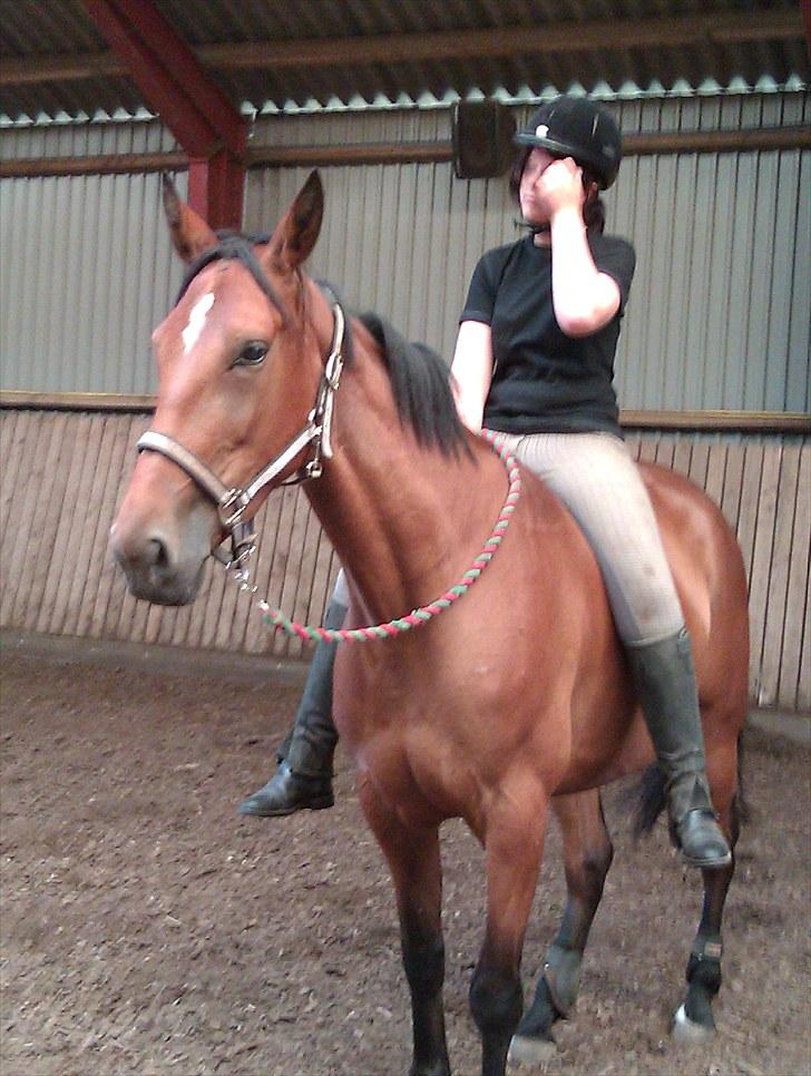 Traver Nesmil - Sandra og Nesmil der rider med træktov og Grime :) billede 4