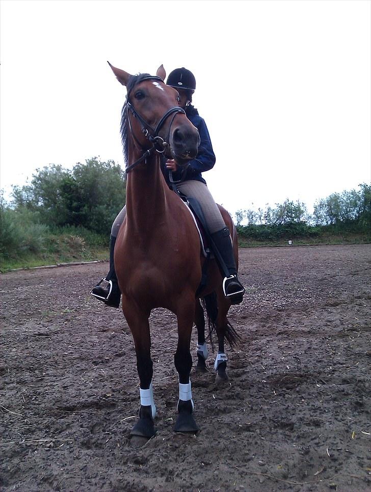 Traver Nesmil - på ridebanen =D billede 5