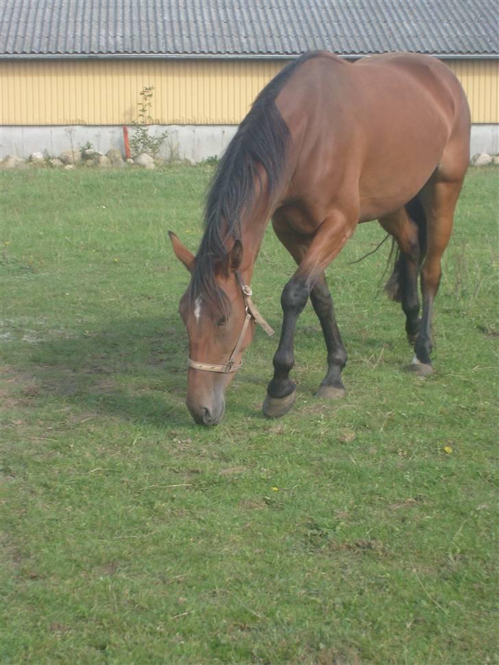 Traver Nesmil - gammelt billede fra da hun kom hjem til os :) billede 8