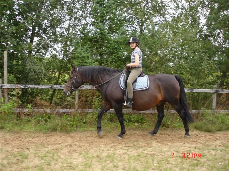 Oldenborg Starlight - Så slapper man lige lidt af :P billede 14