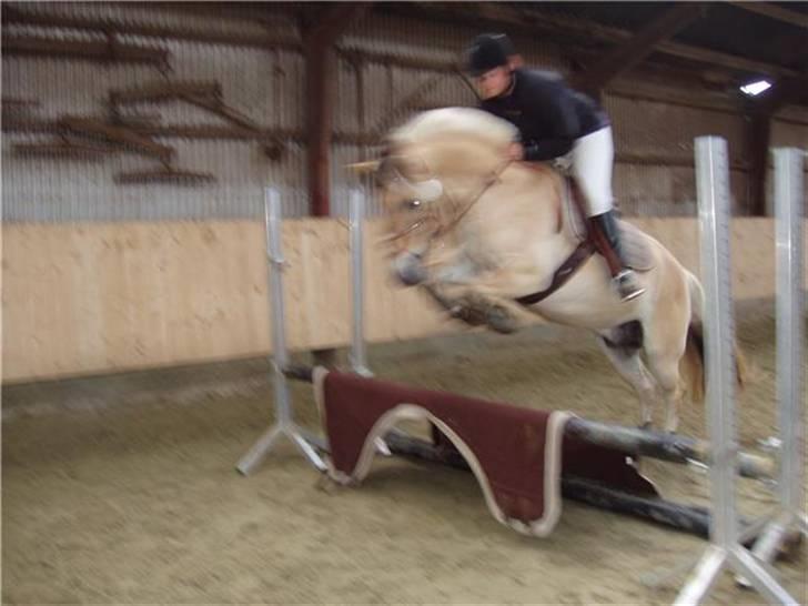 Fjordhest Campari :)<3har haft lånt - Revsø stævne syd den 5-6/9-09 billede 20