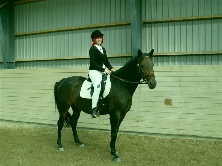 Oldenborg Gl. Hvarregårds Verona - Mit sidste ridt inden min rejse til Venezuela, Sydamerika. billede 14