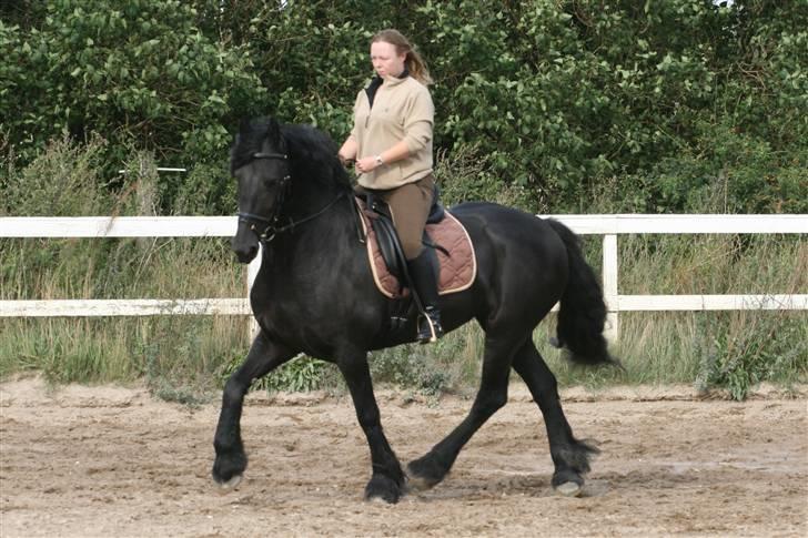 Frieser Canna R. - Versade billede 16