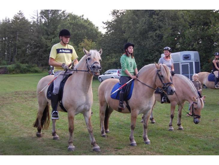 {{currentPhoto.altText}} billede {{currentPhoto.number}}