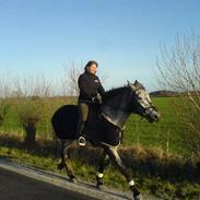 Knabstrupper Kiefer - SOLGT :o)