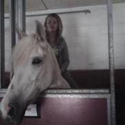 Anden særlig race Kiwie magic (R,I.P)