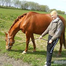 Anden særlig race Rosana