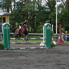 DSP Tai Tanico B-pony - SOLGT :0(