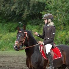 DSP Tai Tanico B-pony - SOLGT :0(