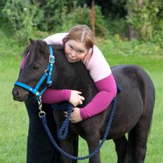 Anden særlig race Mustang *Solgt*