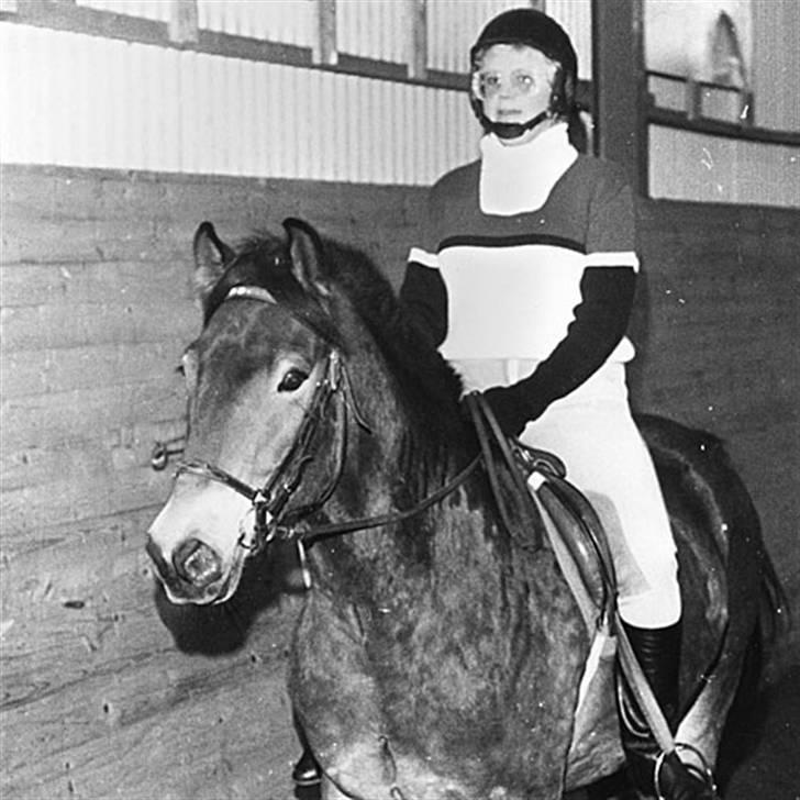 Anden særlig race mysing - Dette billede er fra da han stadig gik rideskole. Det er derfor det er i sorthvidt- billede 2