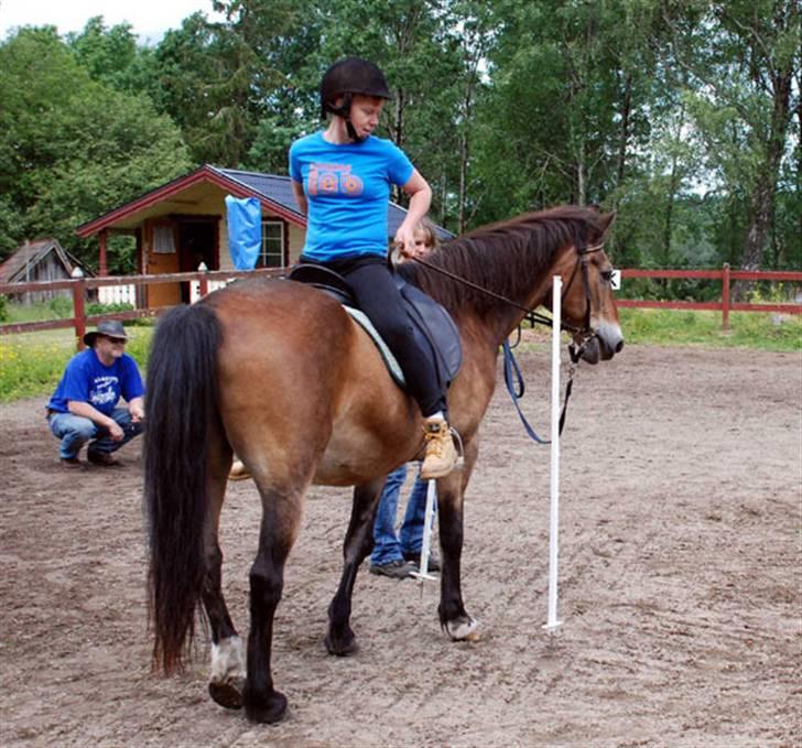 Anden særlig race mysing - Vi træner på at kordinere vores begægelser ved hjælp af vægten  billede 7
