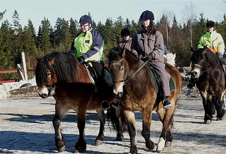 Anden særlig race mysing - Der bliver redet eskvadrillie (staves?) billede 8