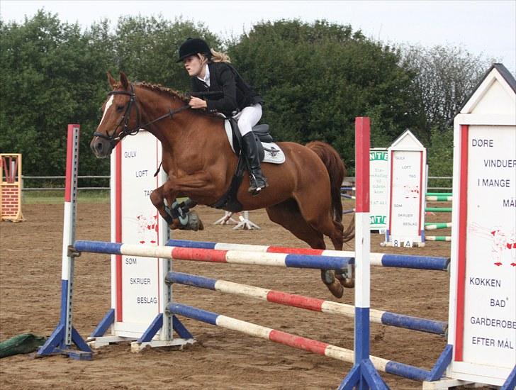 Hollandsk Sportspony Killroy - 2. afdeling af klubmesterskab LA - september 2010 billede 19