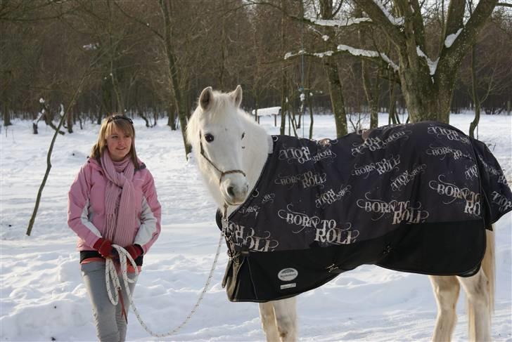 Connemara Carex Felicia - Så er vi igang med HorseManShip træningen! Håber virkelig det kan hjælpe os videre smukke! D. 24. januar 2010 billede 9