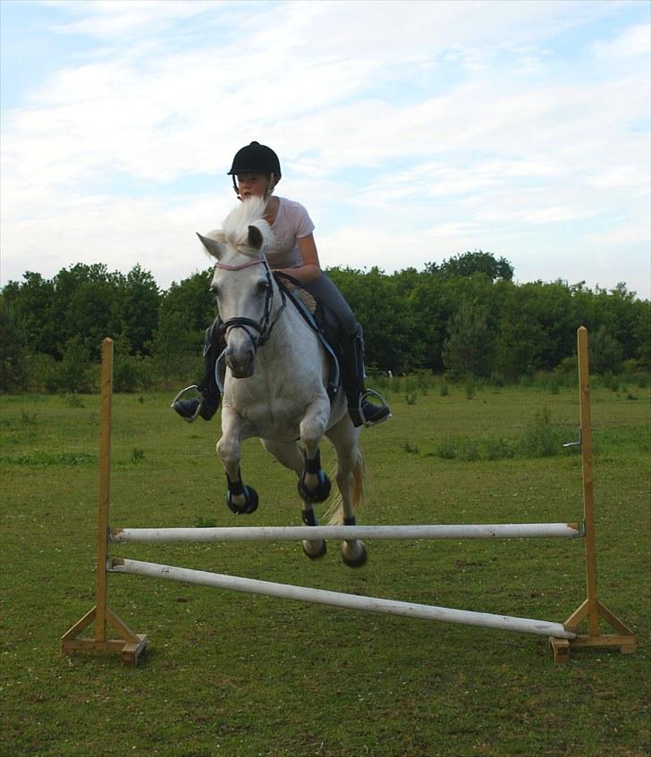 Connemara Carex Felicia - Ida springer på Fils, hun syntes det er super sjovt. d. 29. juni 2010 billede 13