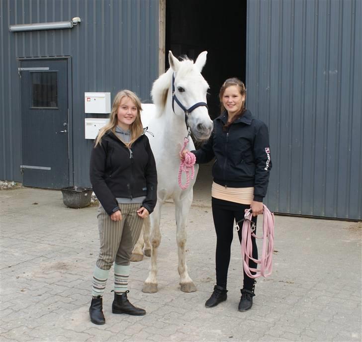 Connemara Carex Felicia - Mig, Filla og gamle ejer :) <3 Dagen jeg købte hende :D billede 16