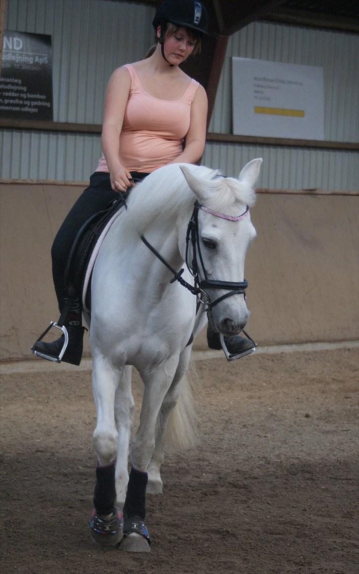 Connemara Carex Felicia - Filla og jeg i ridehuset på ridelejren. Hun var bare skøn! D. 6. august 2010 billede 17