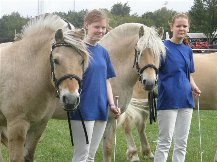 Fjordhest Jolly - Jolly og jeg t.v., Lyrik og Jeanette t.h. billede 15