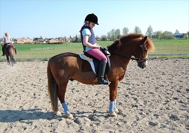 New Forest Roløkke Andes - d.24-4-2011 billede 9