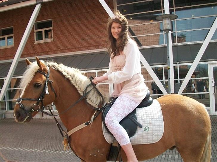 Haflinger Røgtegårdens Aqua x-part. - til min konfirmation d. 1 maj 2010 <3 billede 2