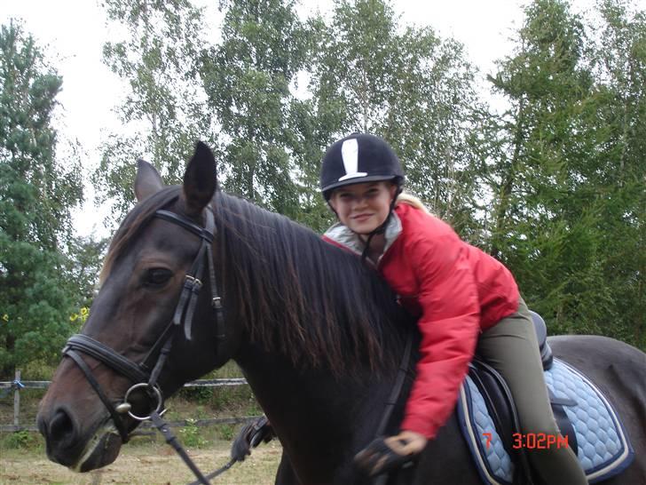 Oldenborg Starlight - Stort Kram <3 billede 16