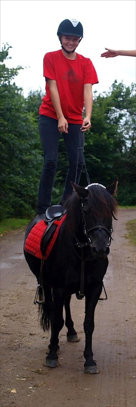 Anden særlig race Maxi - 1 ¤ kan alt med dig smukke. VELKOMMEN :D ahr-foto billede 1