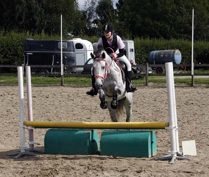 Anden særlig race Marie After Eight - 70 CM, Stævne på ØRK *foto* far :D billede 18