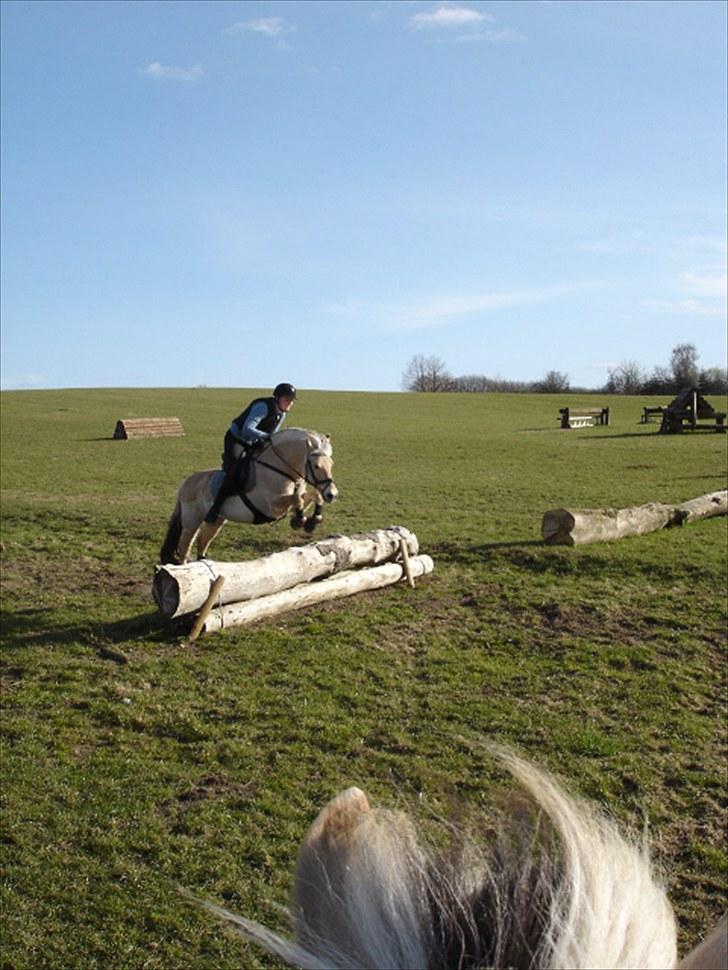 Fjordhest Pan - Pan på terræn banen på Skårup Overgård for første gang.. Fotografen sidder sjovt nok på Gule og tager billederne ;) April 10 billede 14