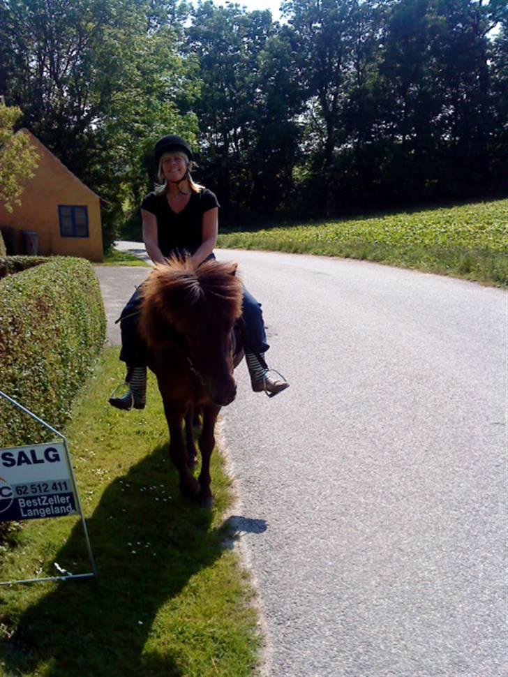 Islænder Baldur - Mor der rider Balle (: billede 7