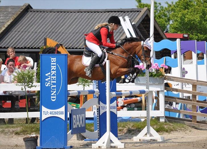 Connemara Søstholm Rapsody | A-pony - Hillerød landsstævne, SB (120 cm). billede 16