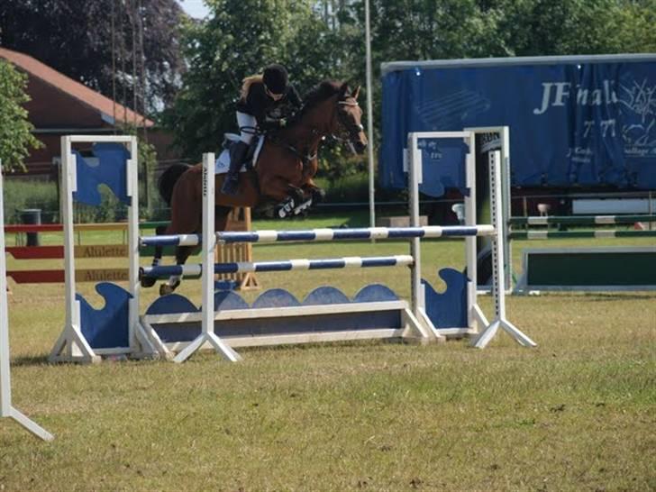 Connemara Søstholm Rapsody | A-pony - første landsstævne og første MA (110 cm) en enkel bom. :D billede 17