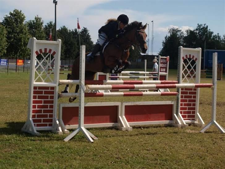 Connemara Søstholm Rapsody | A-pony - første landsstævne og første MA (110 cm) en enkel bom. :D billede 18