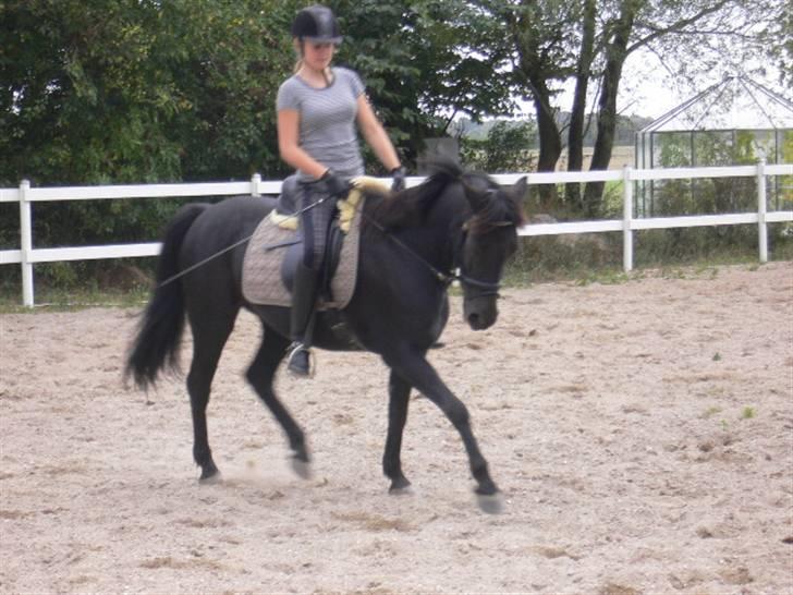 Anden særlig race Whesley - Mig og whesley :D billede 4